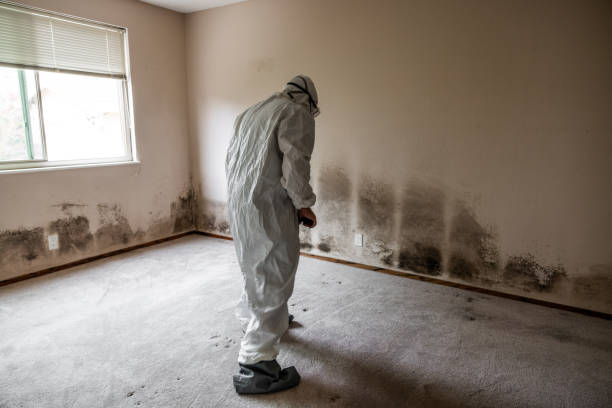 Best Mold Removal for HVAC Installations  in Mill Hall, PA